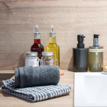 Serbie - Design Et Climatises En Centre Appartement Vichy